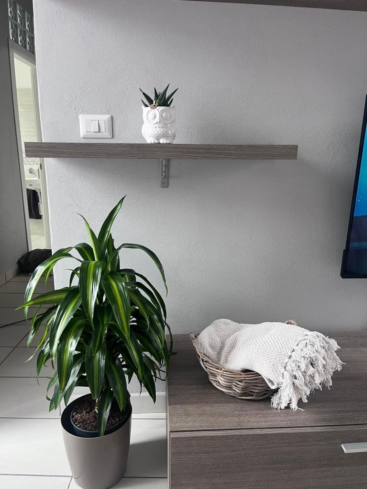 Casa Castagna Appartamento - เลคโค ภายนอก รูปภาพ